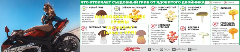 mega ссылка  Прохладный  Галлюциногенные грибы ЛСД 